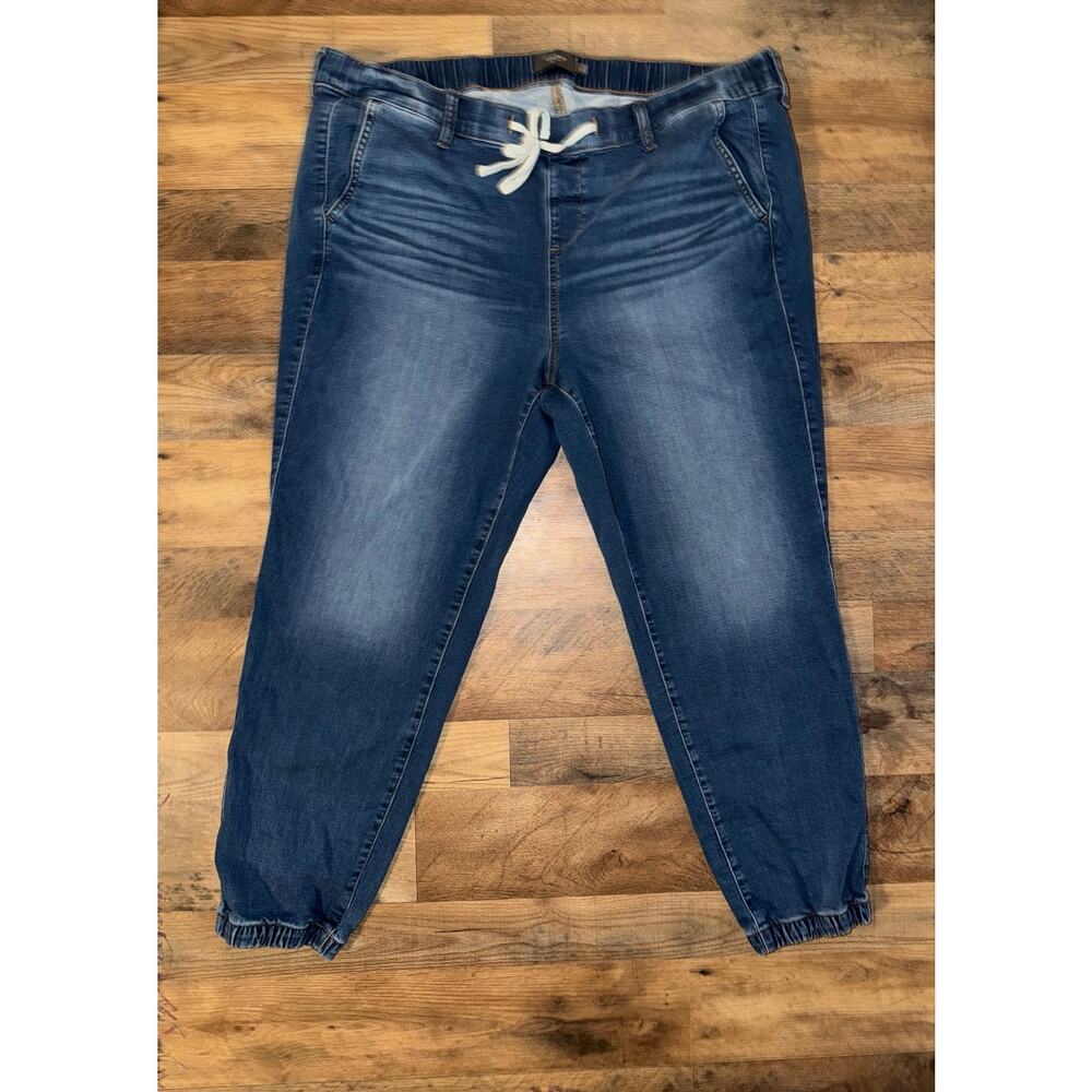 Torrid women’s blue jean joggers